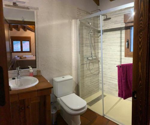 a bathroom with a shower and a toilet and a sink at Los Arenales de Arcones in Colladillo