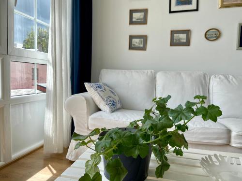 uma sala de estar com um sofá branco e um vaso de plantas em El Galeón em Ribadeo