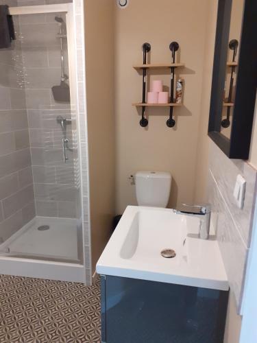 une salle de bain avec toilettes, lavabo et douche dans l'établissement superbe grand studio tout confort avec exterieur, à Poussan