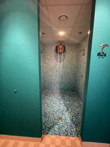 a bathroom with a shower with green walls at Parkhotel Waldschlösschen in Annaberg-Buchholz