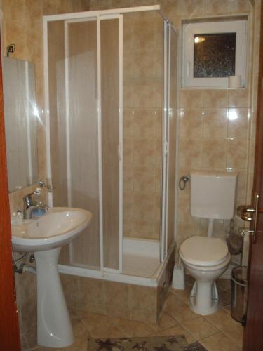 ein Badezimmer mit Dusche, Toilette und Waschbecken in der Unterkunft Vila Luka in Ohrid