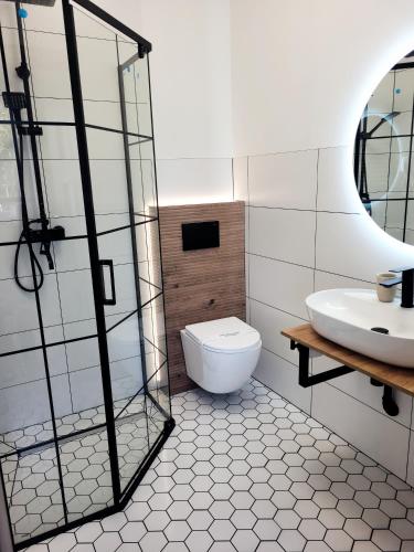 a bathroom with a toilet and a sink at Mizerówka Guest House in Kudowa-Zdrój