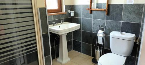 y baño con aseo y lavamanos. en REMOTELY HAVEN near Eymet studio gite with shared pool & private garden for peaceful holiday or remote working!, en Eymet