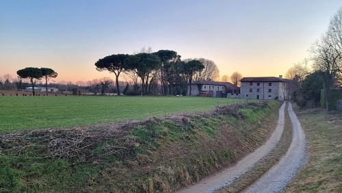 a dirt road in a field next to a house at Corte degli OstiNati in Variano