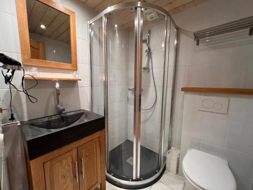une salle de bain avec une douche, un lavabo et des toilettes dans l'établissement Gentianes 3 Bis - Centre village et proche pistes, à La Clusaz