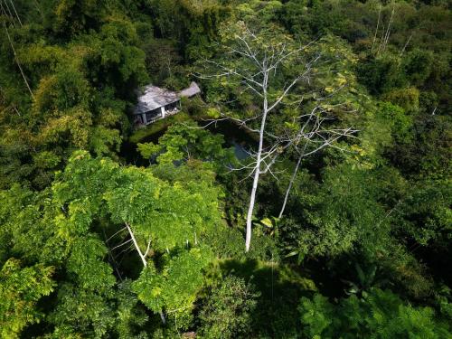 Gallery image of CantalaRana Lodge in Mindo