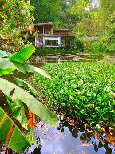 Gallery image of CantalaRana Lodge in Mindo