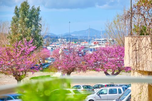 vistas a un aparcamiento con coches y árboles en flor en Casa Spilia Corfu Town, en Corfú