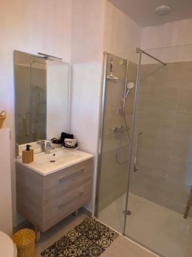 une salle de bain avec une douche et un lavabo et une perspective de douche dans l'établissement Entre Plages et Jardins, à Marseille