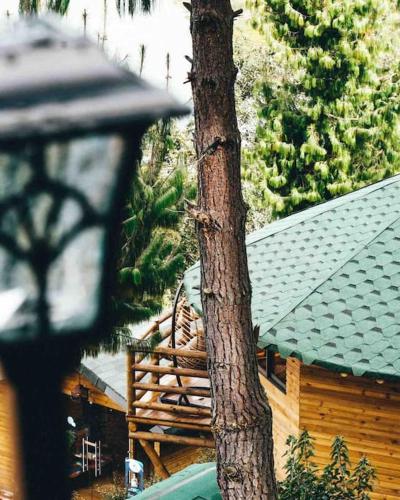 a tree in front of a house with a roof at Costa Azul Ecolodge in Aquitania