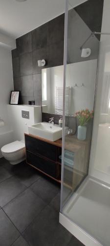 a bathroom with a sink and a toilet at Domowa- Restauracja i Pokoje in Wielen Zaobrzanski