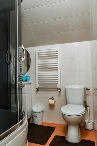 a small bathroom with a toilet and a window at Hotel Konus in Făleşti