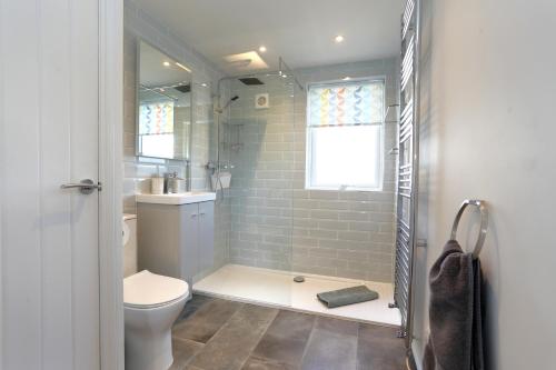 ein Bad mit einem WC, einem Waschbecken und einer Dusche in der Unterkunft The Swift in Whitchurch