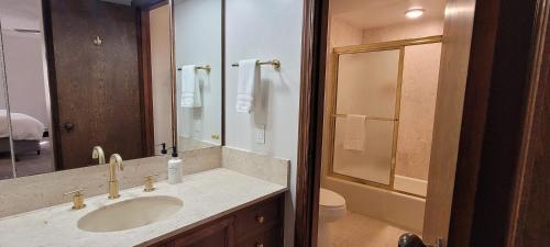 a bathroom with a sink and a toilet and a mirror at Hotel Phillips in Bartlesville