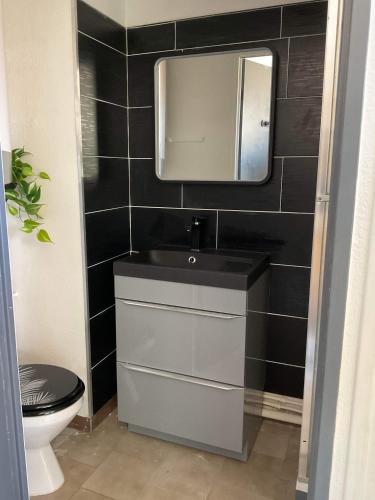 une salle de bain avec un lavabo et un miroir dans l'établissement Studio Cap Agde, au Cap d'Agde