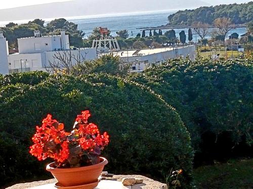 un vaso con fiori rossi, seduto sopra un muro di Casa Croatia a Punat