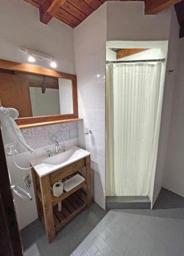 a bathroom with a sink and a shower at Latitud Cuarenta Suites in San Martín de los Andes