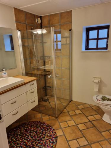 a bathroom with a shower with a sink and a toilet at Elling Bed & Breakfast in Frederikshavn