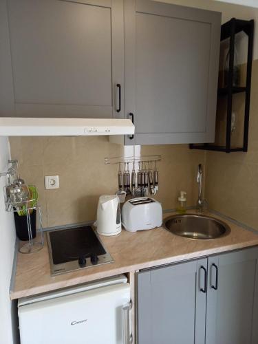 a kitchen with a sink and a counter top at Apartmani Alma in Pula