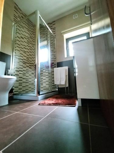 a bathroom with a shower and a toilet and a sink at Casa Grilo in Geres