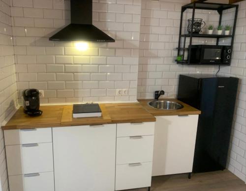 una cucina con un bancone con un lavello e un frigorifero di PUERTA DE CACERES Apartamento 4 a Cáceres
