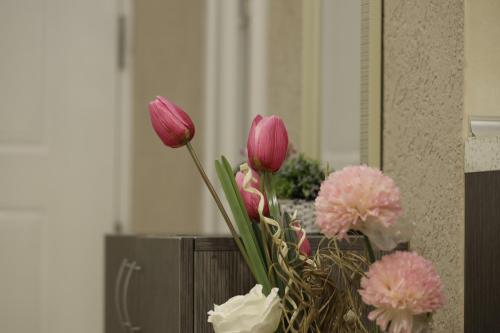 a vase filled with pink and white flowers at Apartment Alexandra in Budva