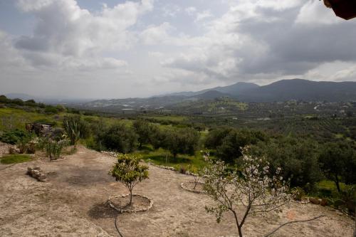a view of a field with trees and mountains at Kritamos Villa & Apartments in Kamilari