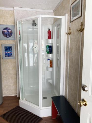 a shower with a glass door in a room at Jade City Motel in Jade City