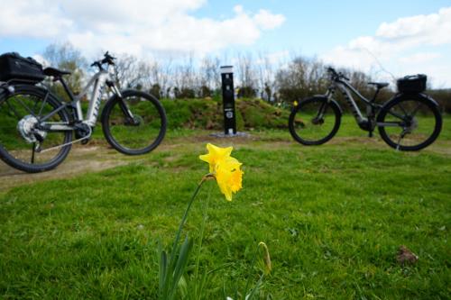 two bikes parked in a field with a yellow flower at Primrose in Tenby