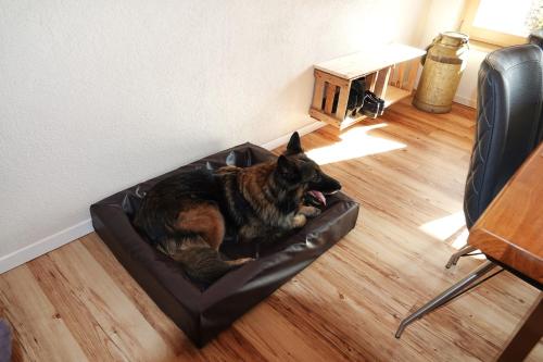 a dog laying in a dog bed on the floor at Weinbergshof Rickel in Kitzingen