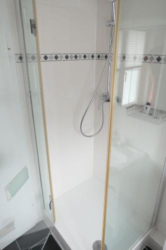 una ducha con puerta de cristal en un baño en Bodensee Loge, en Radolfzell am Bodensee