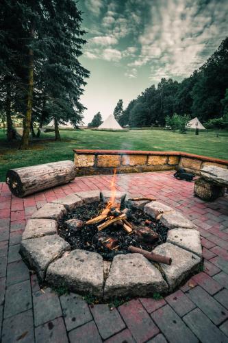 a fire pit in a brick yard with trees in the background at Trapani house & camp in Růžová