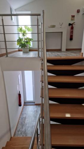 a staircase in a house with a potted plant at A.l. KATEKERO in Costa Nova