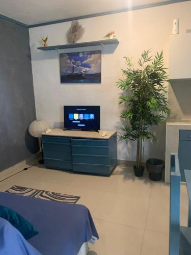1 dormitorio con escritorio, TV y planta en Casa Mar, en Playa del Carmen