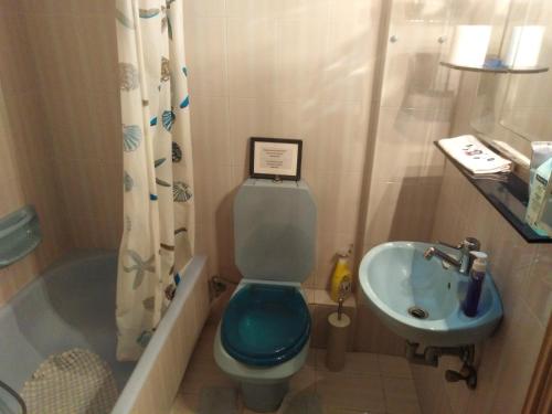a bathroom with a blue toilet and a sink at Filyra Homestay (Όμορφο δωμάτιο σε σπίτι) in Athens