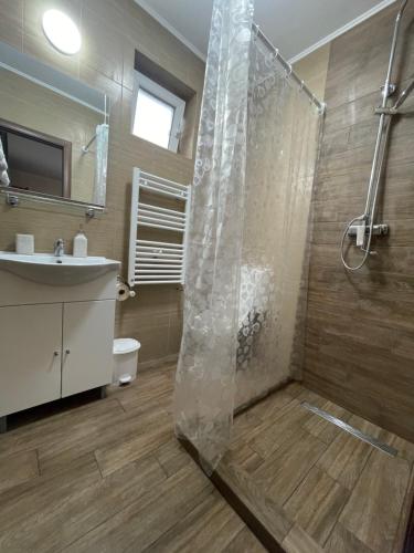 a bathroom with a shower and a sink at Casa Titiana Suncuius in Şuncuiuş