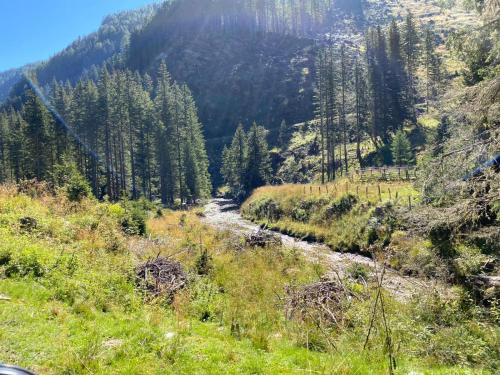 a river in the middle of a mountain with trees at Almhütte Prem 1 in Ramingstein