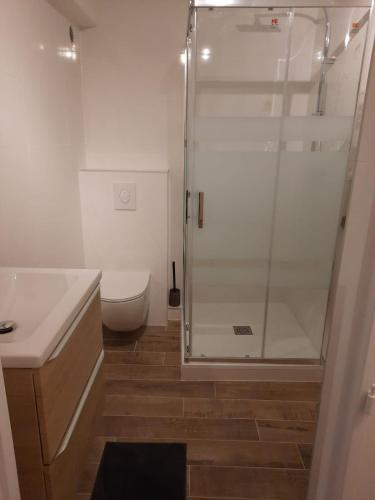 une salle de bain avec une douche en verre et des toilettes dans l'établissement LE PASSAGE gîte cocooning à Colmar centre touristique, à Colmar