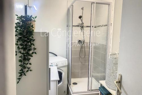 DT 21 - Triplex centre ville – Photos 3