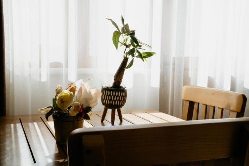 a table with a potted plant on top of it at Azra Apart & Otel in Gokceada Town
