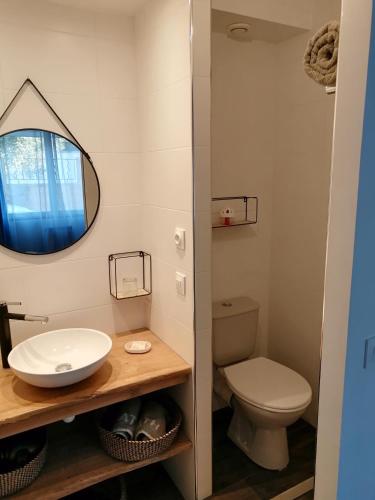 une salle de bain avec un lavabo et des toilettes dans l'établissement La maison de 6Fran appartement 1 calme et spacieux ambiance familiale, à Valros