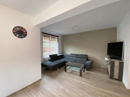 a living room with a couch and a tv at FENYŐ APARTMAN HOUSE II. in Odorheiu Secuiesc