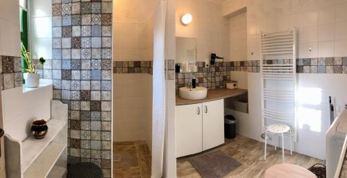 y baño pequeño con lavabo y ducha. en Ladislaus Schnaps-Haus Falusi Vendégház en Csolnok
