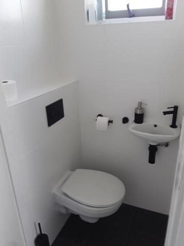 La salle de bains blanche est pourvue de toilettes et d'un lavabo. dans l'établissement 55 Bytling, à Terherne