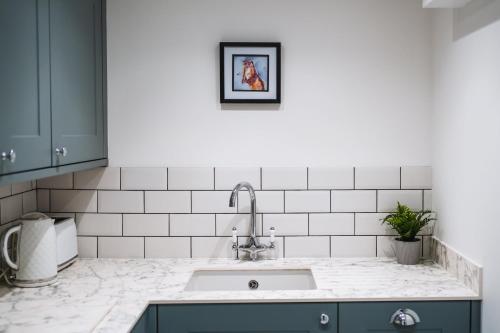a kitchen counter with a sink and a picture on the wall at Otter's Pocket in Blandford Forum