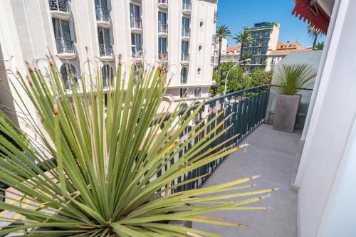 une palmeraie sur un balcon d'un bâtiment dans l'établissement Cannes Center La Croisette Splendid 2 BR in premium residence gardens and balcony by Olam Properties, à Cannes
