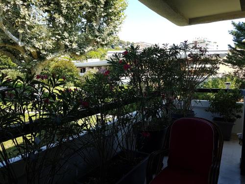 Κήπος έξω από το 80m2 dans Parc Classé, Piscine, Calme, 5mn de Cannes