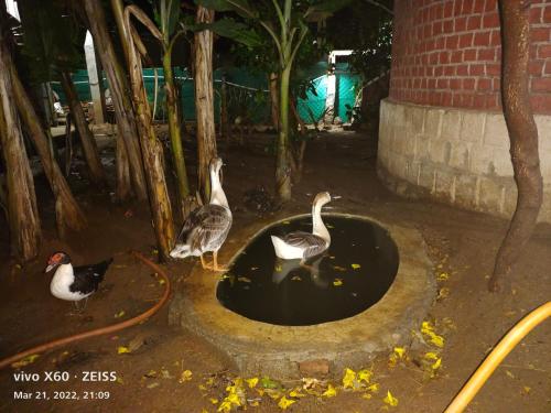 Gallery image of Thiru Nakshatra Family Guest House in Tiruvannāmalai