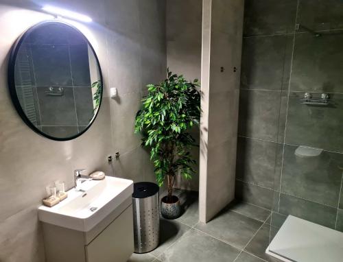 a bathroom with a sink and a mirror and a plant at Wellness Apartments in Varaždin