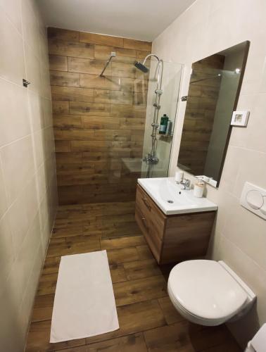 a bathroom with a toilet and a sink and a shower at OM Apartment in Podgorica
